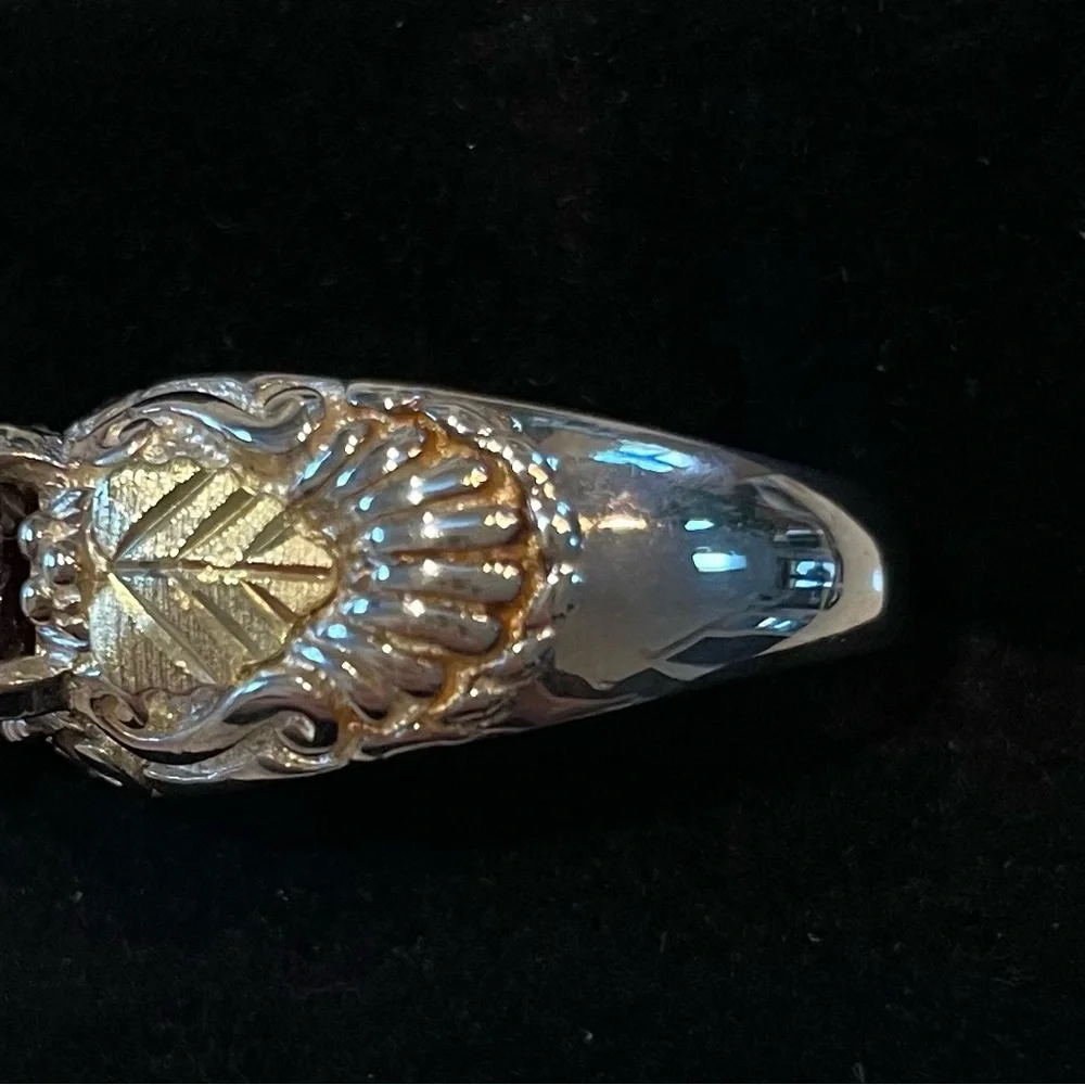 FINAL PRICE Black Hills 12k Garnet Ring - Picture 4 of 6